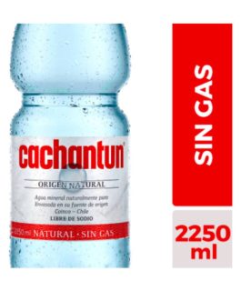 CACHANTUN S/GAS PET. 2500CC